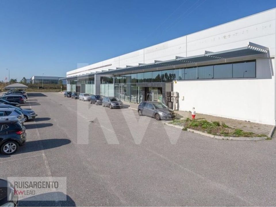 Bungalow i Castelo Branco, Castelo Branco - foto 4