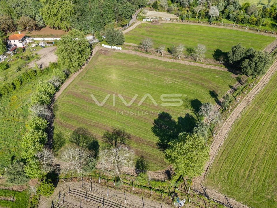 Helårsgrund i Vila Verde, Braga - foto 3