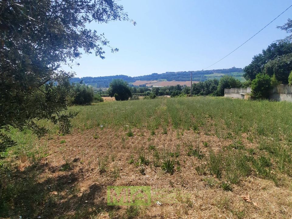 Helårsgrund i Altidona, Fermo - foto 2