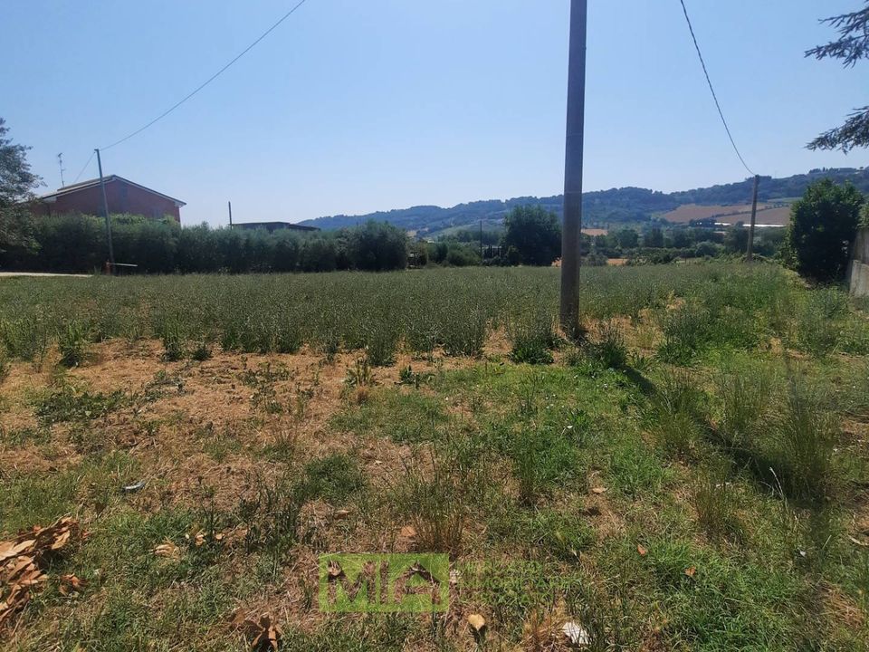 Helårsgrund i Altidona, Fermo - foto 3