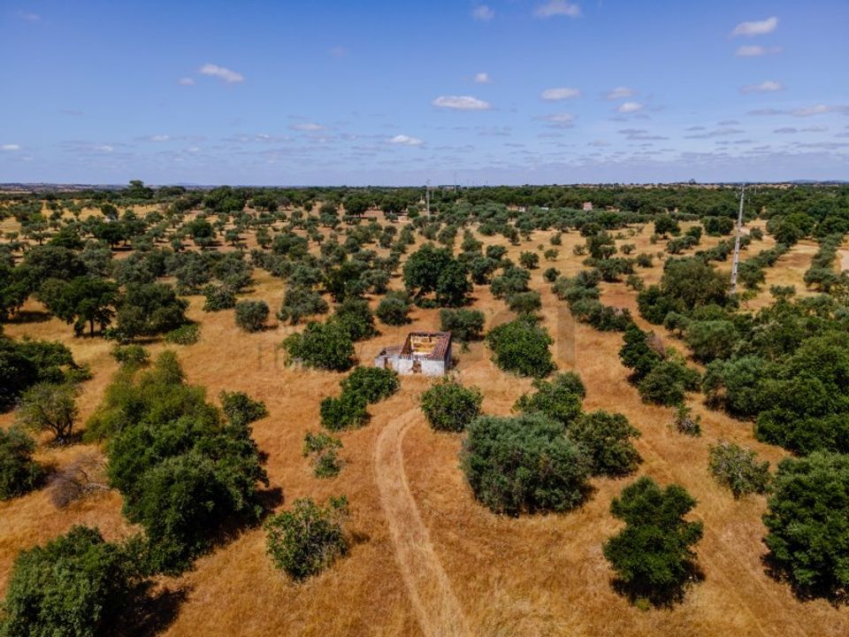 Farm i Vila Nova de Sao Bento e Vale de Vargo, Beja - foto 1