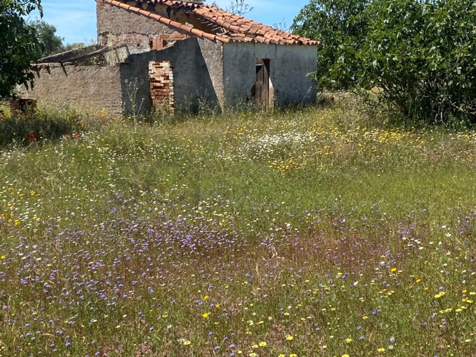 Farm i Vila Nova de Sao Bento e Vale de Vargo, Beja - foto 4