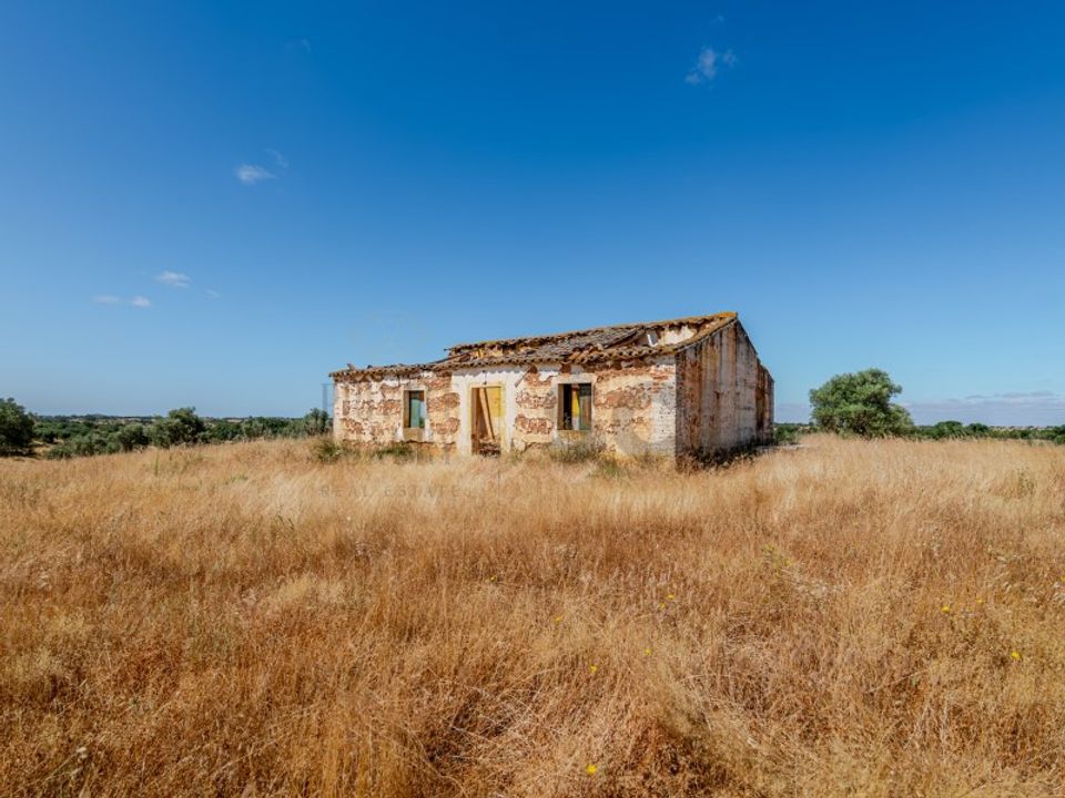 Farm i Vila Nova de Sao Bento e Vale de Vargo, Beja - foto 1