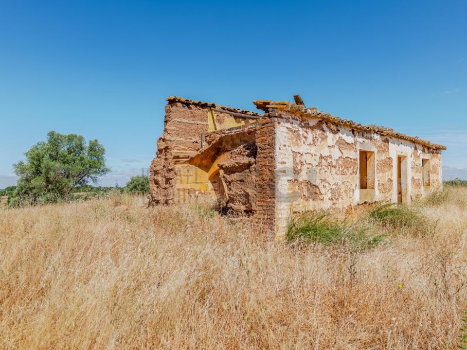 Farm i Vila Nova de Sao Bento e Vale de Vargo, Beja - foto 3