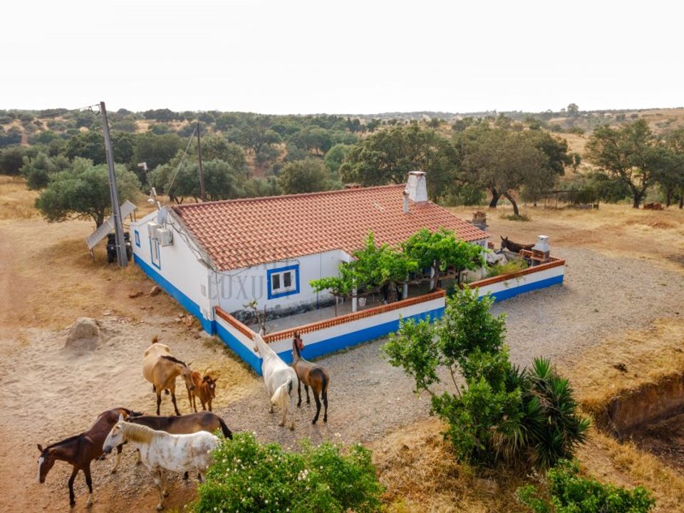 Farm i Vila Verde de Ficalho, Beja - foto 1