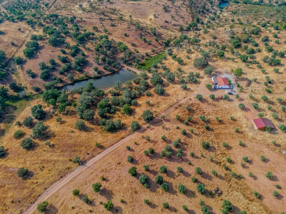 Farm i Vila Verde de Ficalho, Beja - foto 4