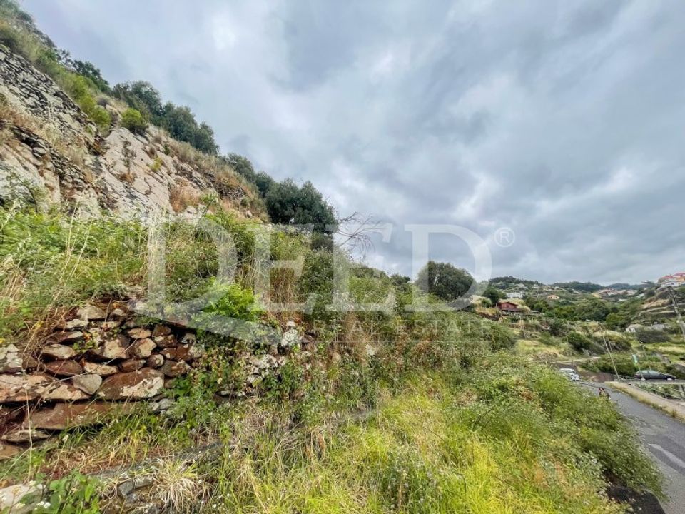 Helårsgrund i Santa Cruz, Madeira - foto 3