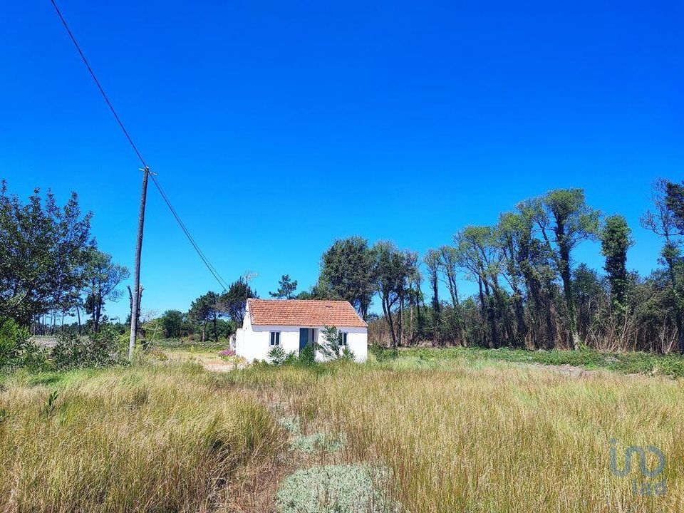 Byhus i Murtosa, Aveiro - foto 3