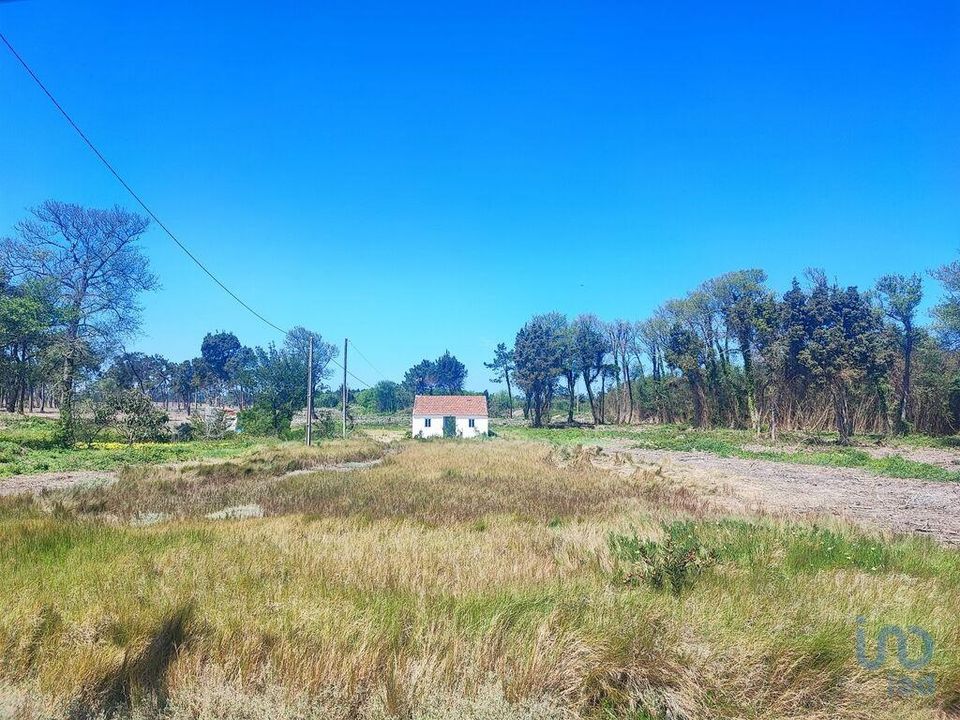 Byhus i Murtosa, Aveiro - foto 4
