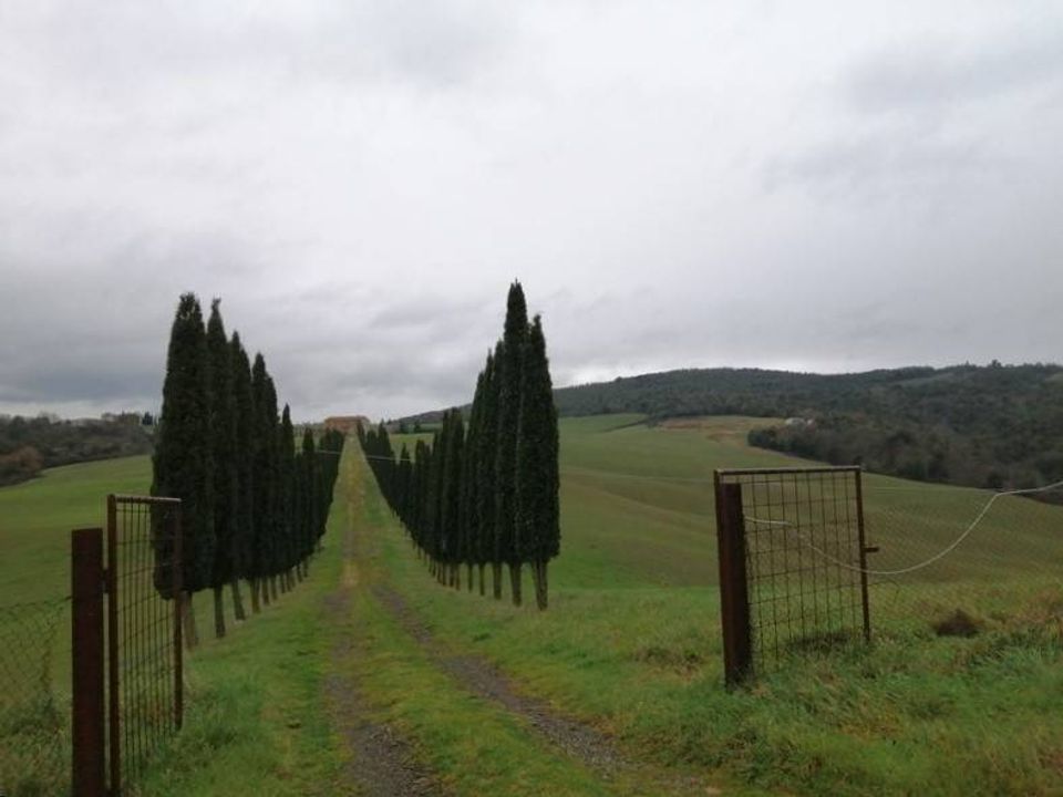 Farm hus i Murlo, Siena - foto 2