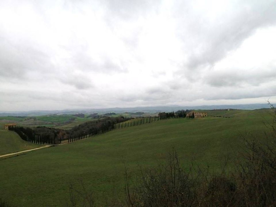 Farm hus i Murlo, Siena - foto 3