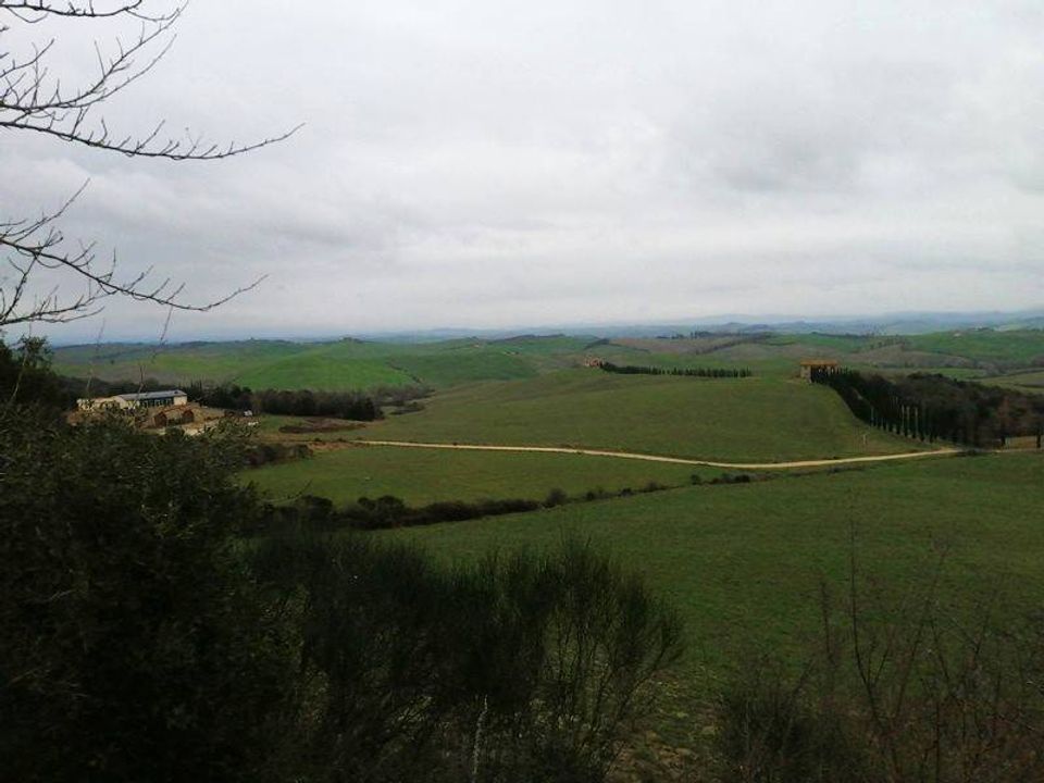 Farm hus i Murlo, Siena - foto 4