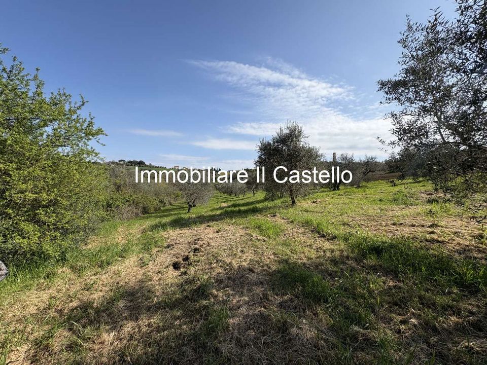 Boerderij in Castiglione del Lago, Perugia - foto 4