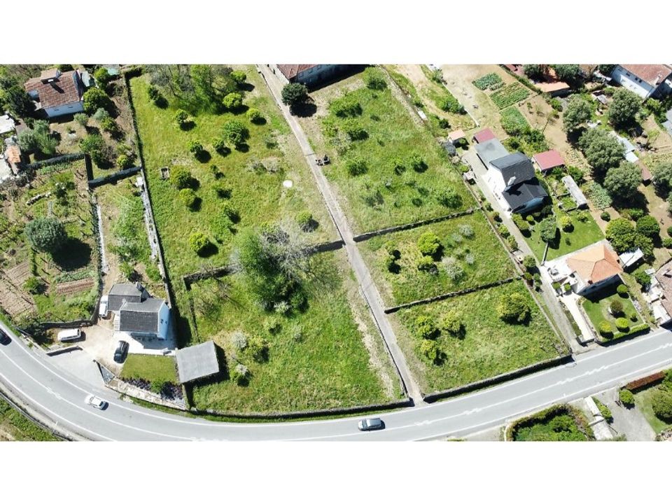Farm i Ponte de Lima, Viana do Castelo - foto 4