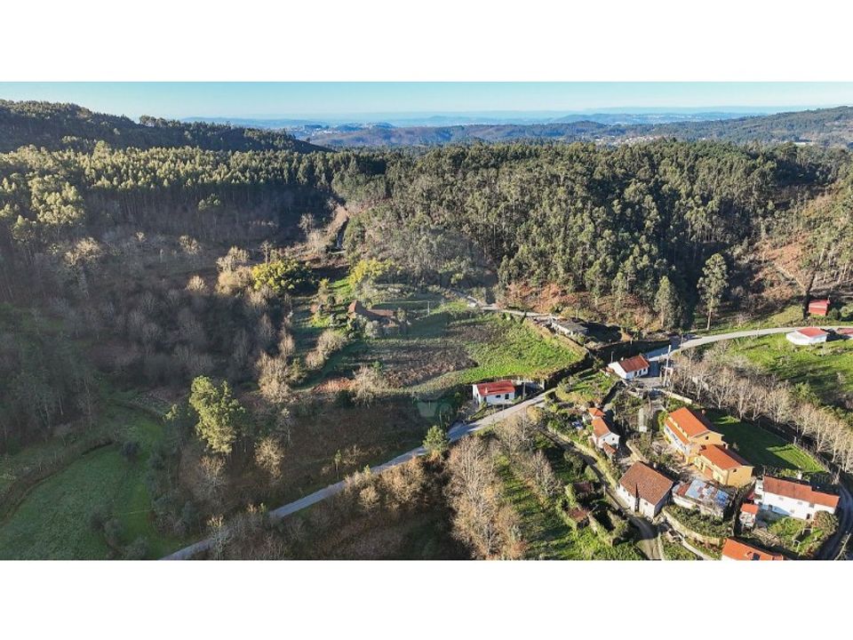 Farm i Carvalho e Basto (Santa Tecla), Braga - foto 1