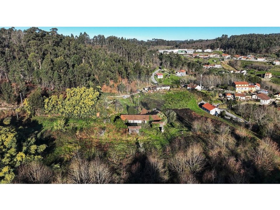 Gård i Carvalho e Basto (Santa Tecla), Braga - foto 3