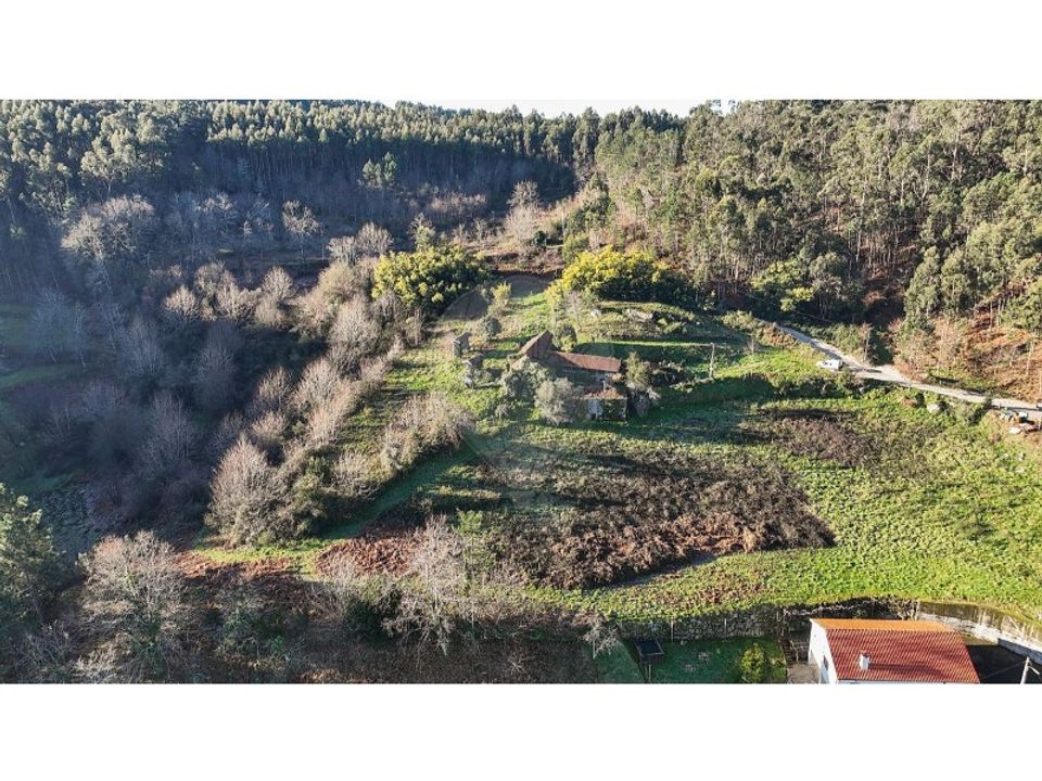 Gård i Carvalho e Basto (Santa Tecla), Braga - foto 4