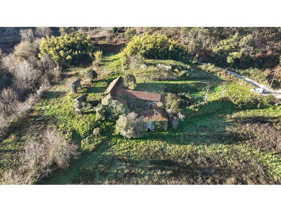 Gård i Carvalho e Basto (Santa Tecla), Braga - foto 5