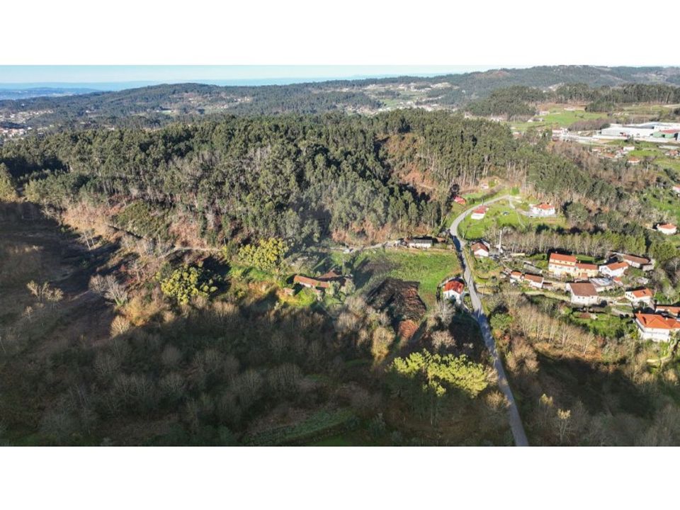 Farm i Carvalho e Basto (Santa Tecla), Braga - foto 2