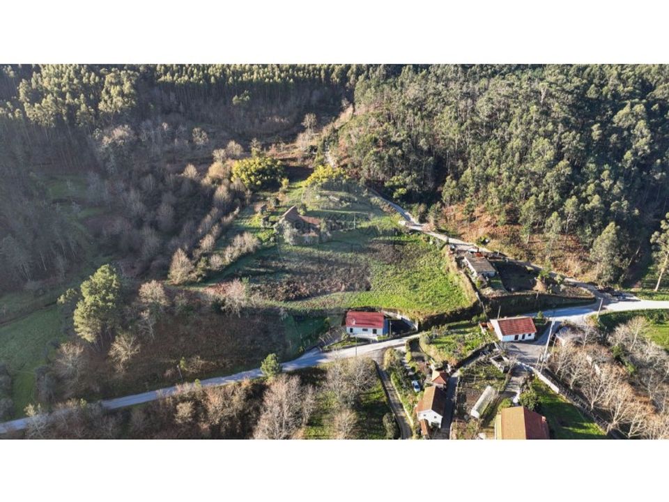 Farm i Carvalho e Basto (Santa Tecla), Braga - foto 3