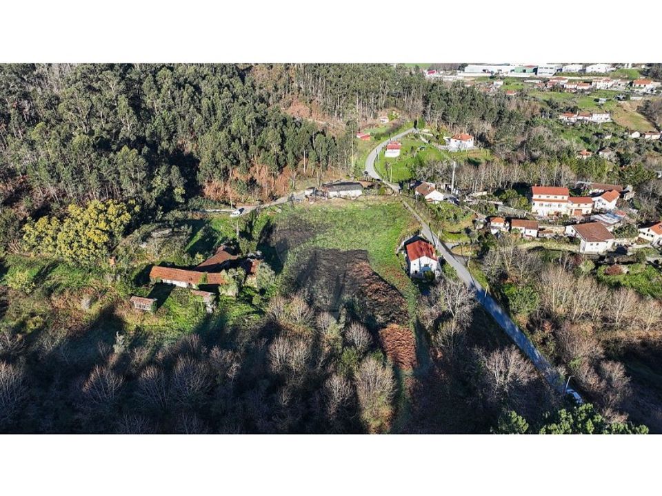 Farm i Carvalho e Basto (Santa Tecla), Braga - foto 4