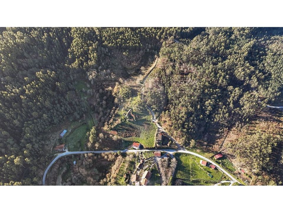 Farm i Carvalho e Basto (Santa Tecla), Braga - foto 5