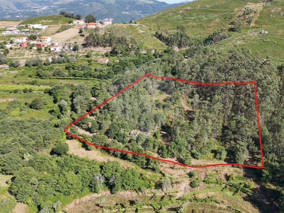 Helårsgrund i Guimaraes, Braga - foto 1
