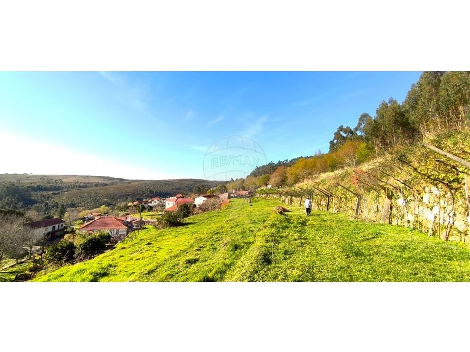 Gård i Formariz e Ferreira, Viana do Castelo - bilde 4