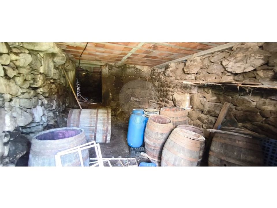 Farm i Formariz e Ferreira, Viana do Castelo - foto 3
