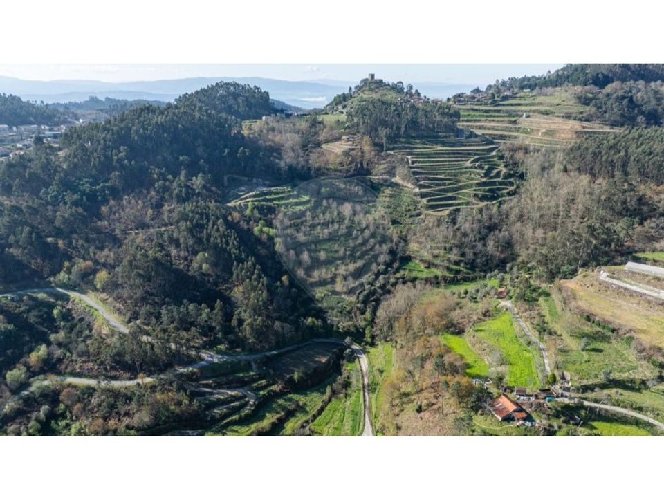 Farm i Carvalho e Basto (Santa Tecla), Braga - foto 5