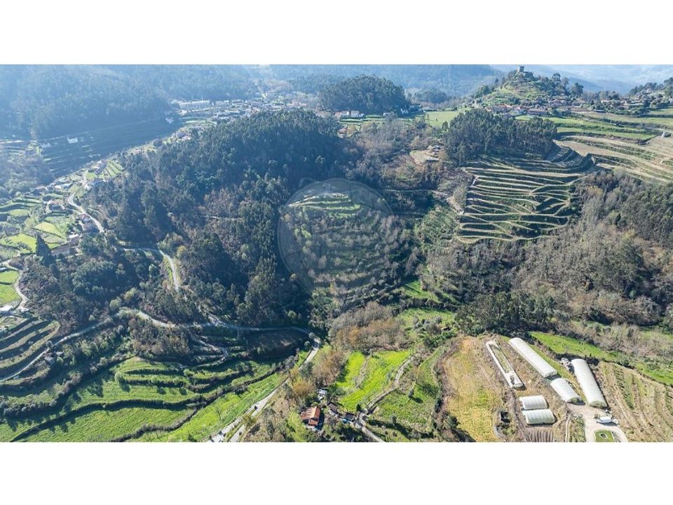 Gård i Carvalho e Basto (Santa Tecla), Braga - foto 3
