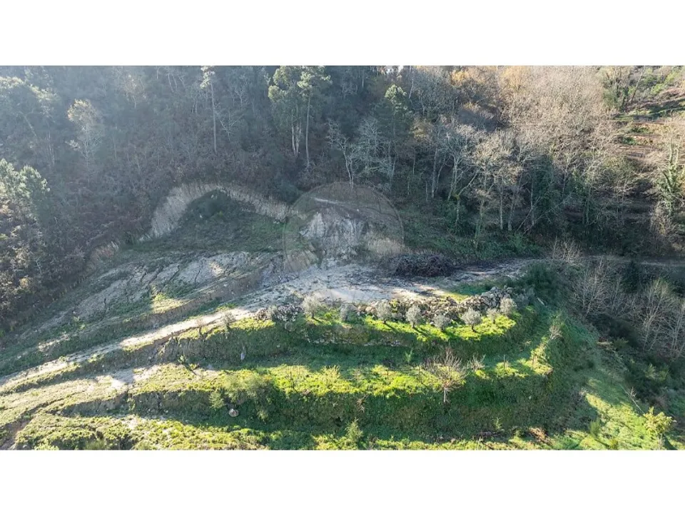 Farm i Carvalho e Basto (Santa Tecla), Braga - foto 1