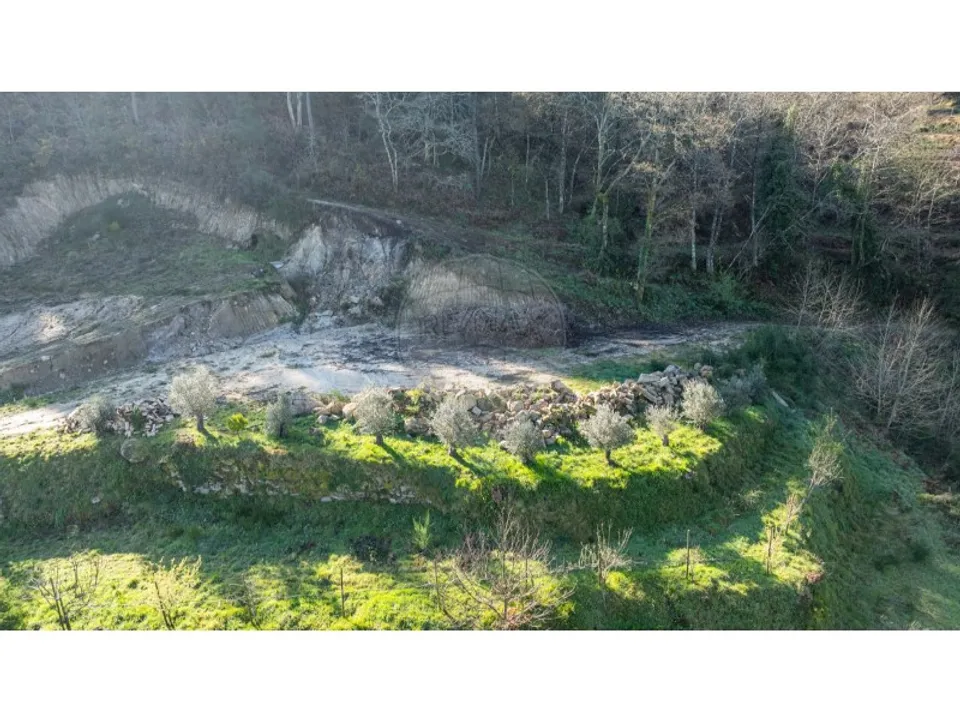 Farm i Carvalho e Basto (Santa Tecla), Braga - foto 2