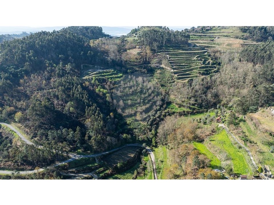 Farm i Carvalho e Basto (Santa Tecla), Braga - foto 4