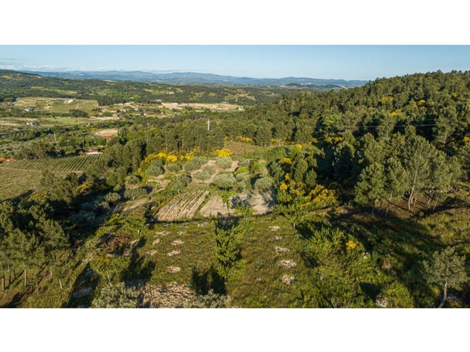 Helårsgrund i Santa Valha, Vila Real - foto 4