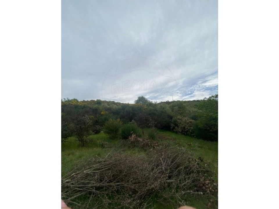 Helårsgrund i Valpacos, Vila Real - foto 5