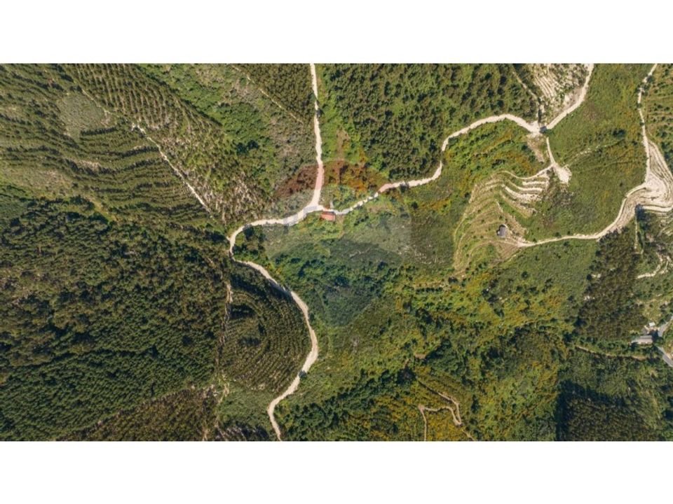 Gård i Celorico de Basto, Braga - bilde 1