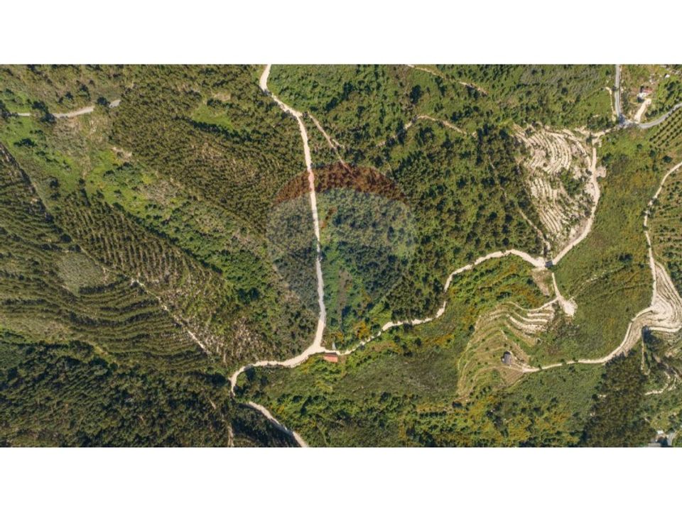 Gård i Celorico de Basto, Braga - bilde 2