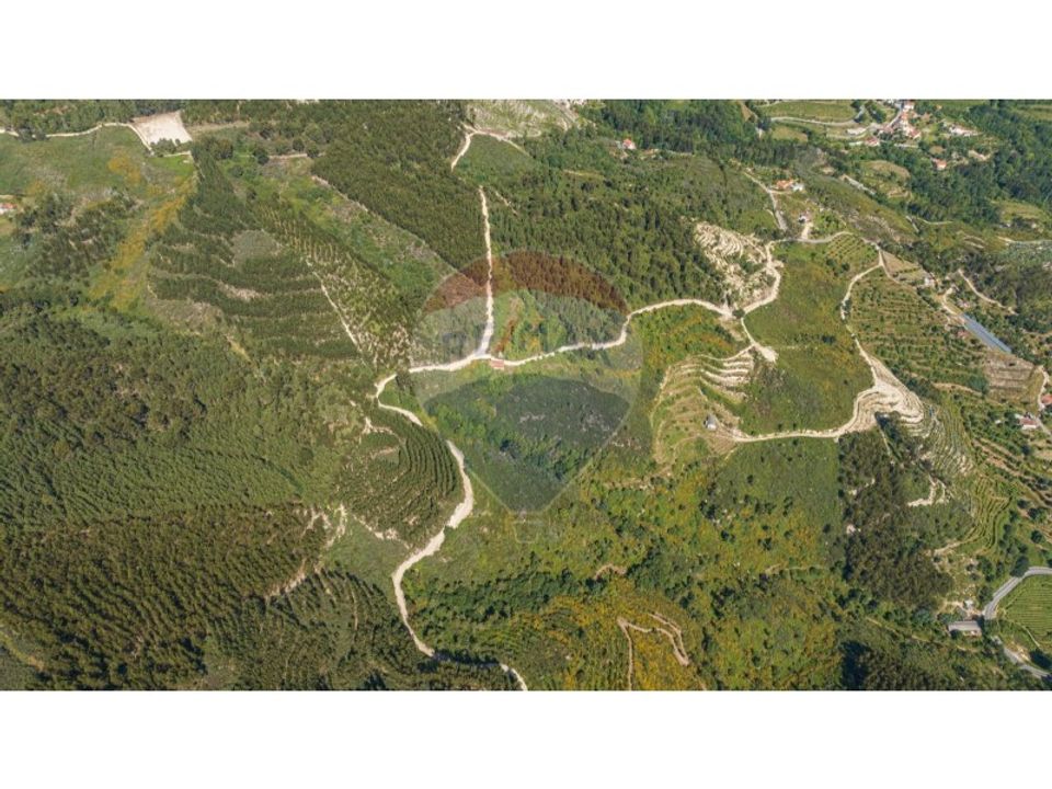 Gård i Celorico de Basto, Braga - bilde 3