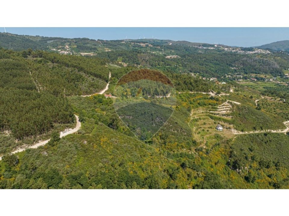 Gård i Celorico de Basto, Braga - bilde 4