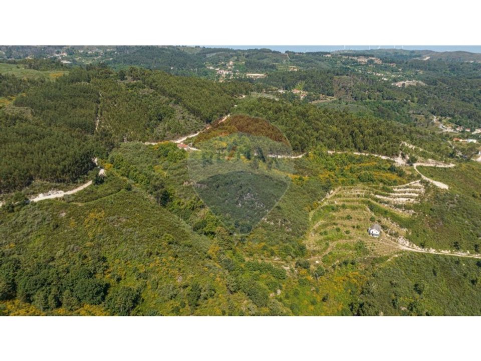 Gård i Celorico de Basto, Braga - bilde 5