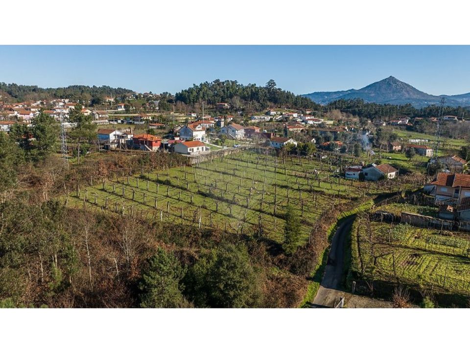 Helårsgrund i Celorico de Basto, Braga - foto 3