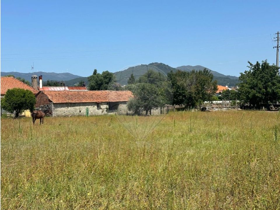 Farm i Viana do Castelo, Viana do Castelo - foto 3