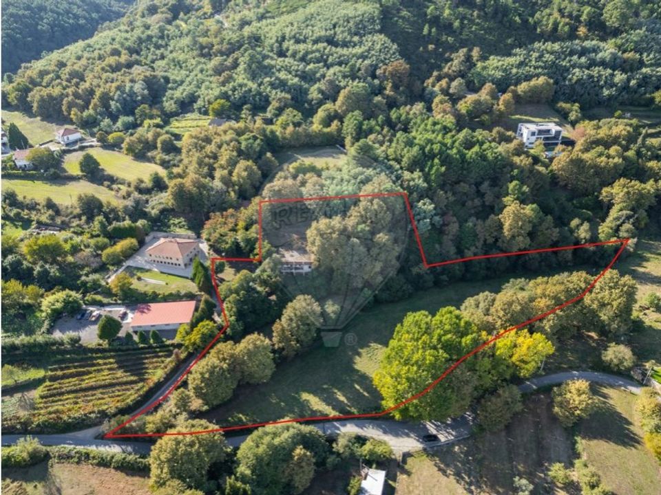 Farm i Vila Real, Vila Real - foto 4