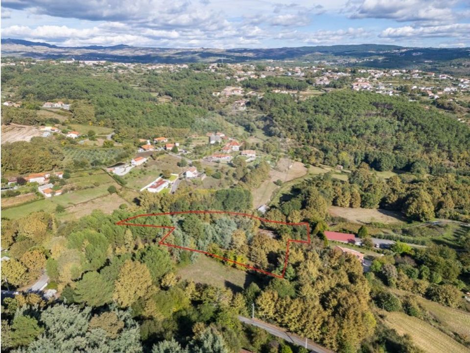 Farm i Vila Real, Vila Real - foto 2