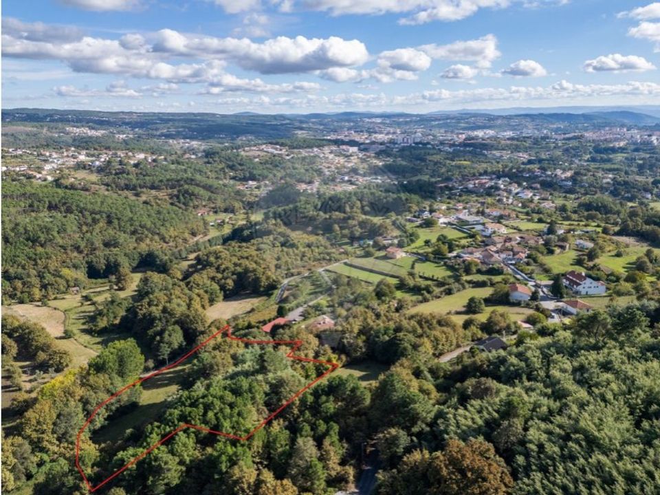Farm i Vila Real, Vila Real - foto 3