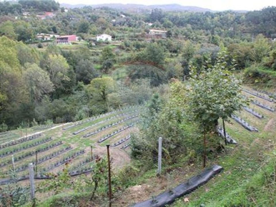 Land in Chorense e Monte, Braga - photo 1
