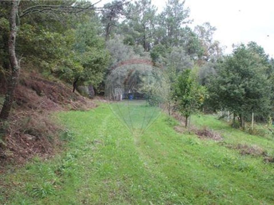 Land in Chorense e Monte, Braga - photo 5