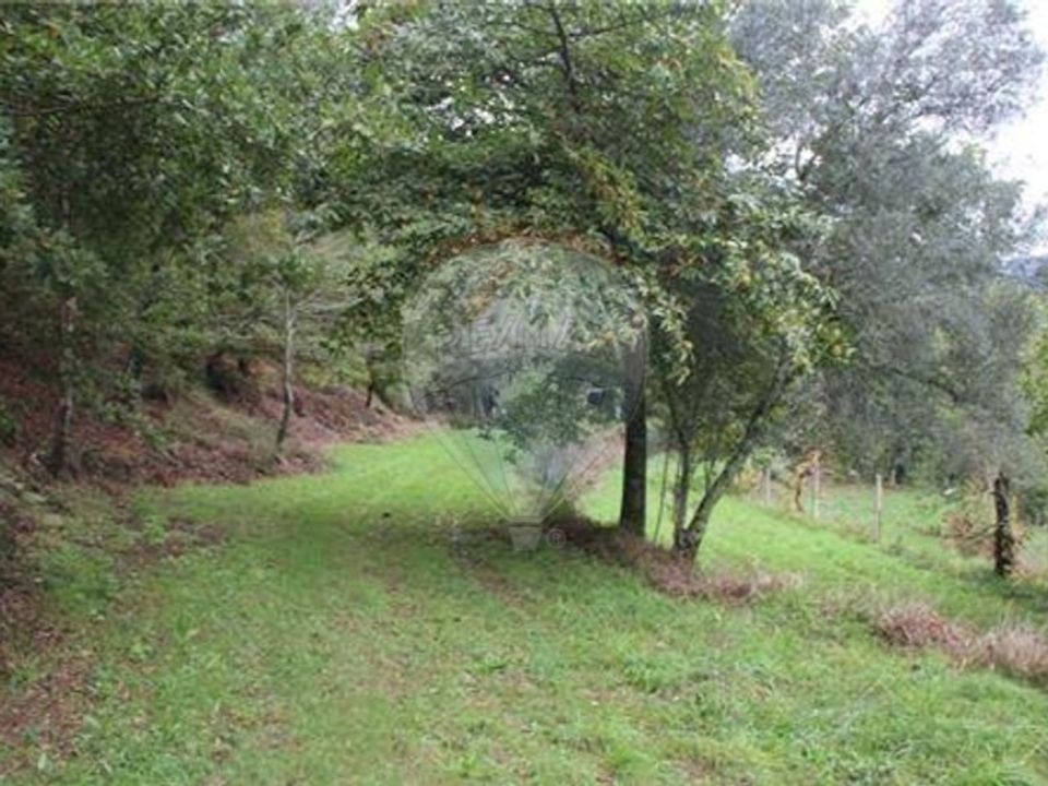 Land in Chorense e Monte, Braga - photo 4