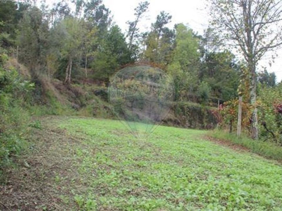 Land in Chorense e Monte, Braga - photo 3